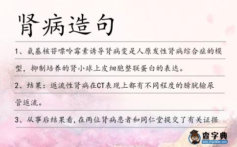 腎病造句