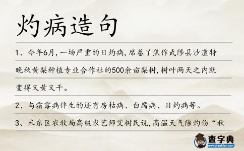 灼病造句