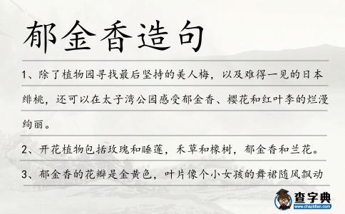 郁金香造句