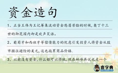 資金造句