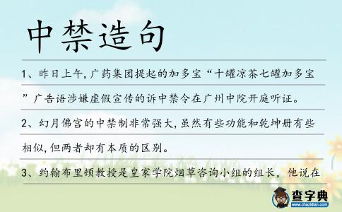 中禁造句
