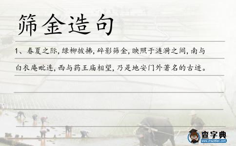 篩金造句