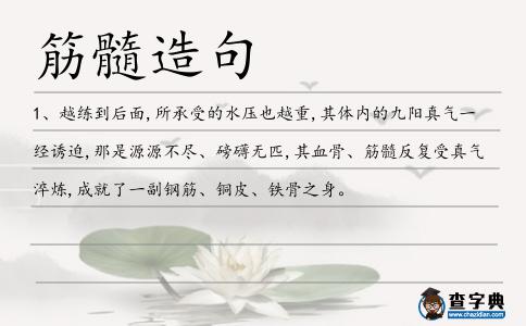 筋髓造句
