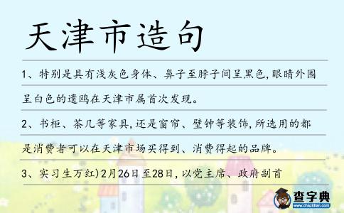 天津市造句
