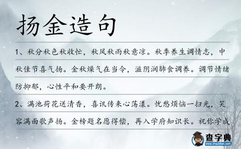 揚金造句
