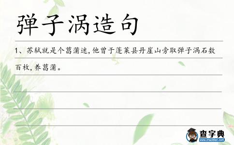 彈子渦造句