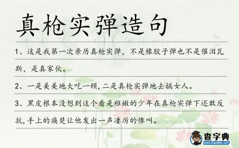 真槍實彈造句
