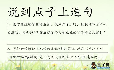 說到點子上造句