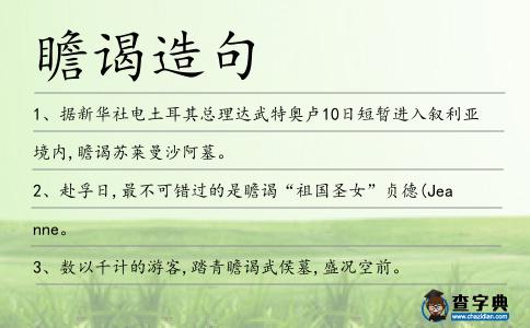 瞻謁造句