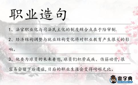職業(yè)造句