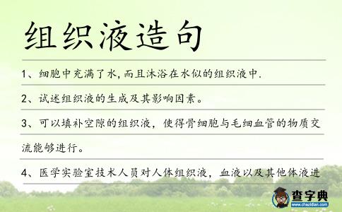 組織液造句