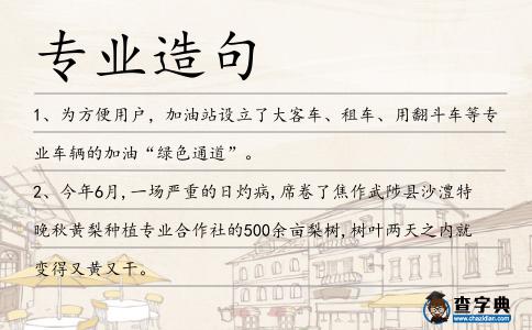 專業(yè)造句