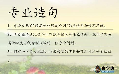專業造句