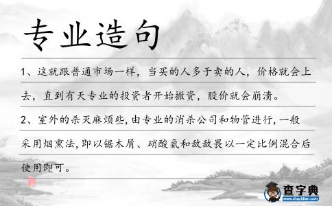 專業造句