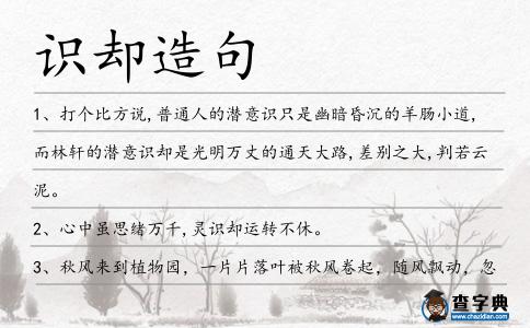識卻造句