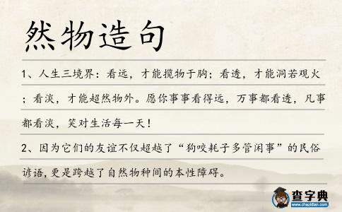 然物造句