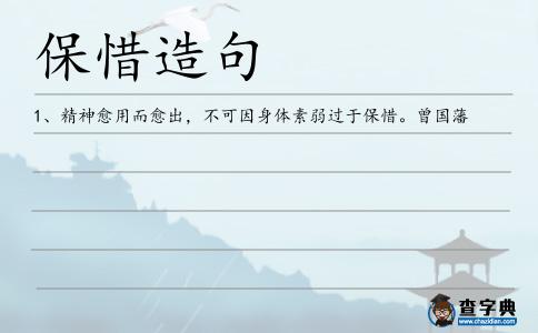 保惜造句