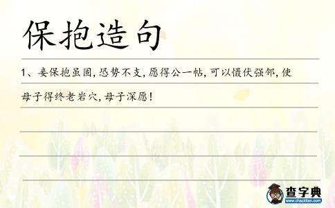 保抱造句