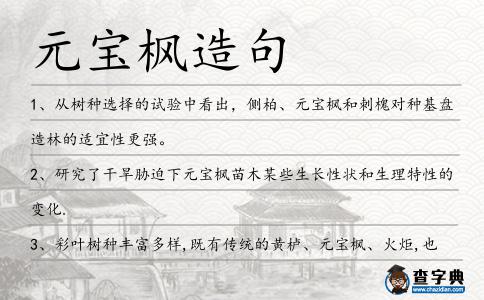 元寶楓造句