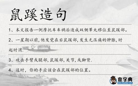 鼠蹊造句