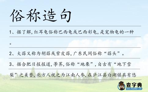 俗稱造句