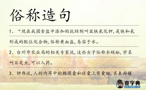 俗稱造句