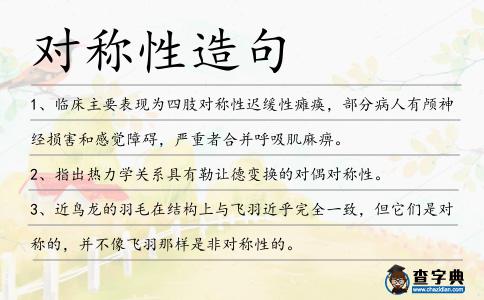 對稱性造句