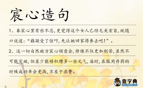 宸心造句