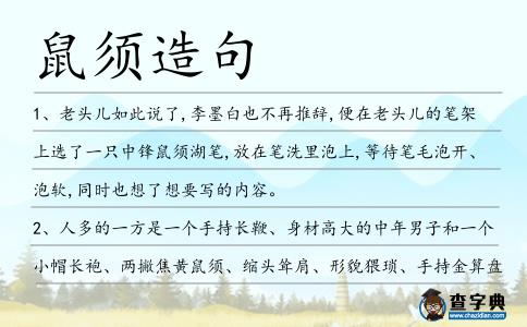 鼠須造句