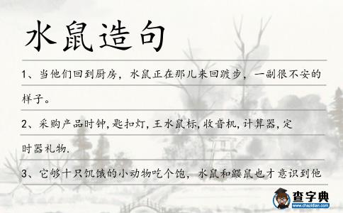 水鼠造句