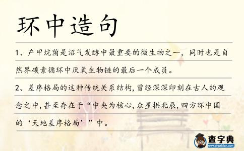 環中造句