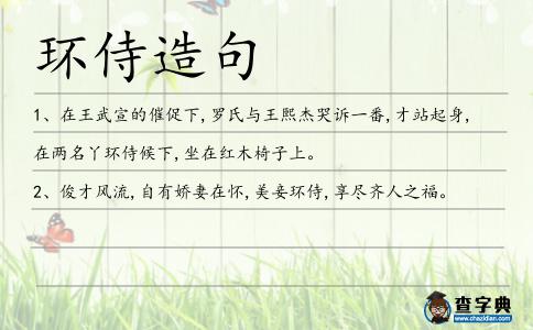環(huán)侍造句