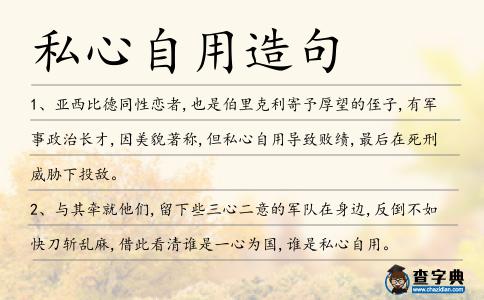 私心自用造句