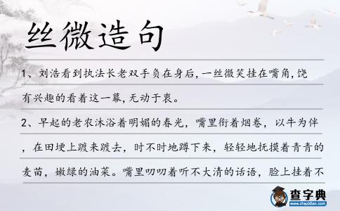 絲微造句