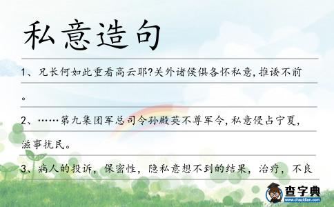 私意造句