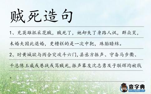 賊死造句