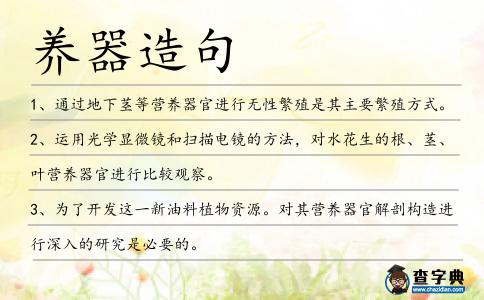 養(yǎng)器造句