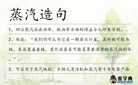蒸汽造句