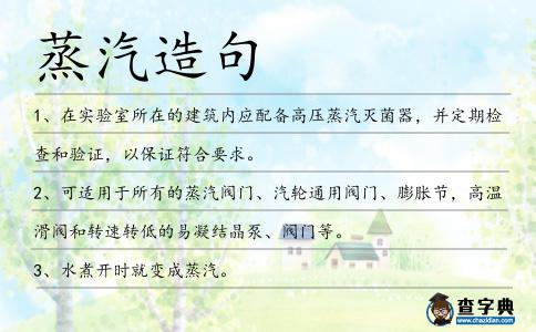 蒸汽造句