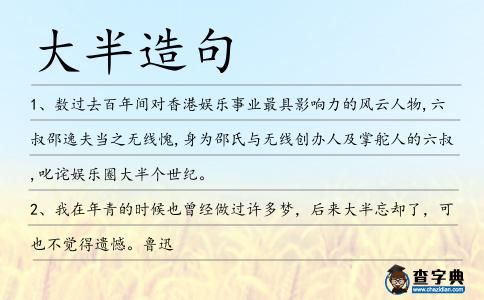 大半造句