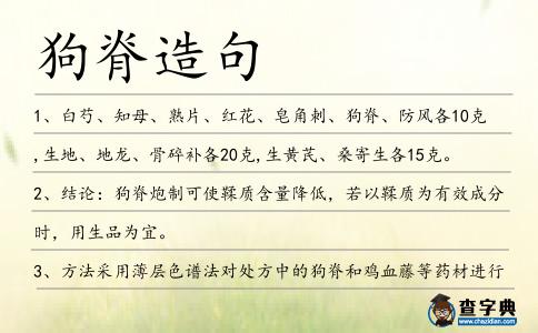 狗脊造句