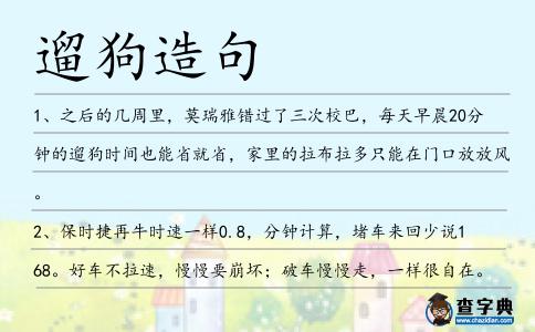 遛狗造句