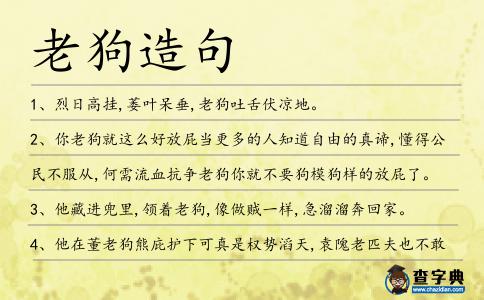 老狗造句