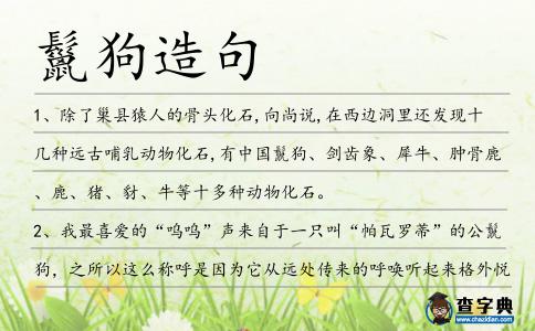 鬣狗造句