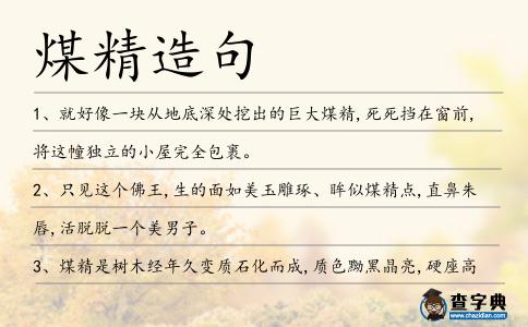 煤精造句