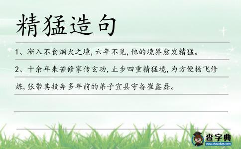 精猛造句