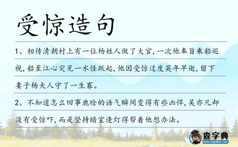 受驚造句