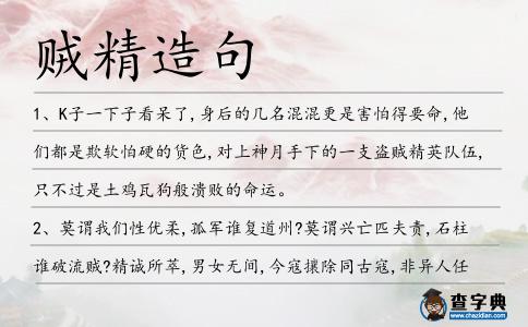 賊精造句