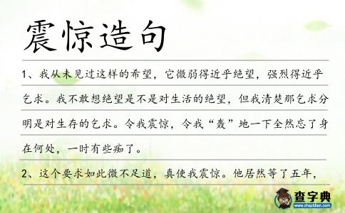 震驚造句