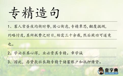 專精造句